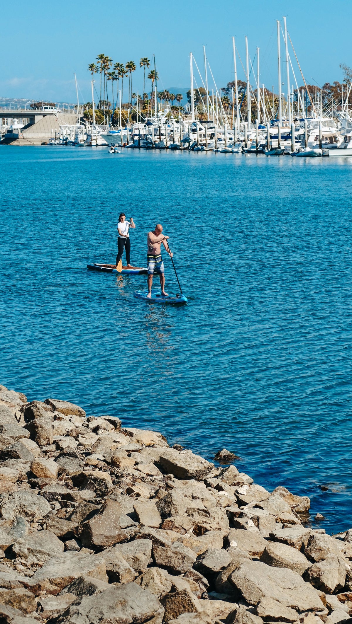 Paddle boarding photo for Paddle Boarding at Emerald Lake, BC – Know the Latest Rules & Best Alternative Spots!