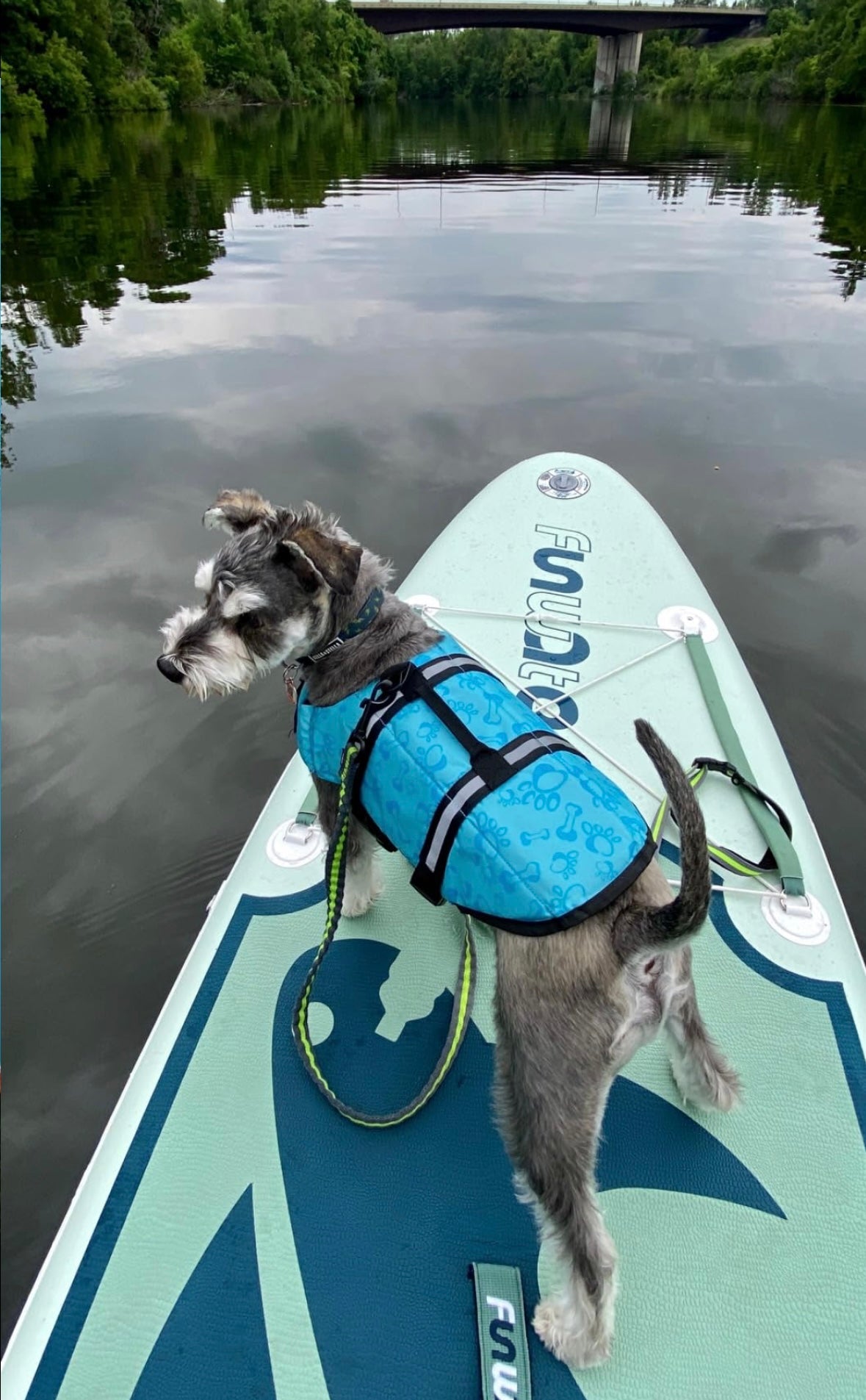 Green Kayak 10'6